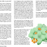KH_Webstory_Clownfisch_18_06fin-2
